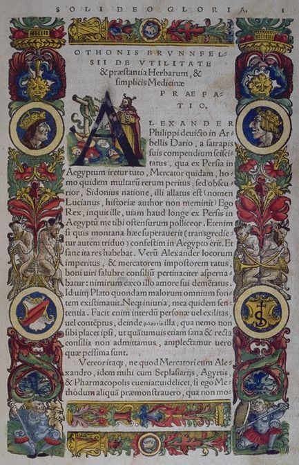 Otto Brunfels, Herbarum vivae eicones, Argentorati, apud Ioannem Schottum, 1530-36